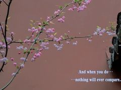 -苏州碑刻博物馆