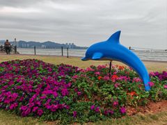 -野狸岛