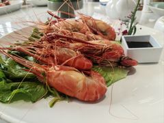 阳澄湖野生湖虾-火福·天湖阁大闸蟹博物馆主题餐厅(浅水湾店)
