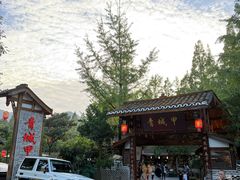 -青城甲(青城山店)