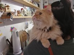 -小时光咖啡馆(北锣鼓巷店)