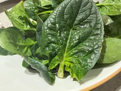 -海底捞火锅(高科东路店)