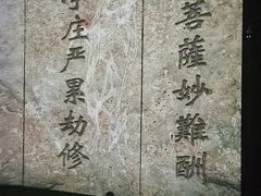 -印象普陀