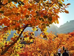 -周口店坡峰岭风景区