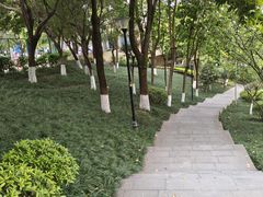 -龙头寺公园