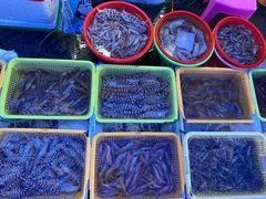 -老字号蛇口德记烧腊饭店·海鲜加工