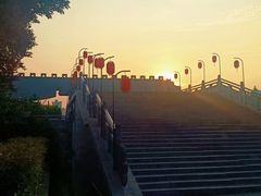 -洛阳市隋唐城遗址植物园