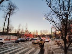 -长春市南湖公园