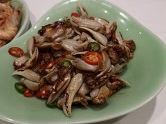 -海派美食·家宴海鲜青岛菜·石锅鲽鱼头(东方城店)