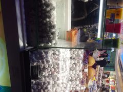 -泰康食品(南京东路店)