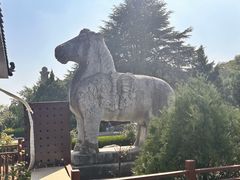 -盛唐府乾州酸汤面