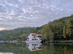 -深圳仙湖植物园