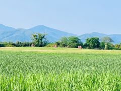 -良渚古城遗址公园