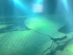 -白鹤梁水下博物馆