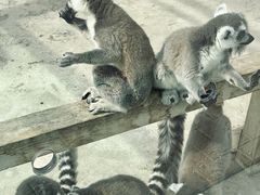 -水上乐园·欢乐世界