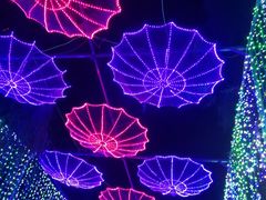 -哈尔滨文化公园