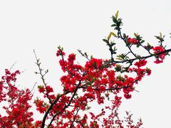 -漕湖湿地公园