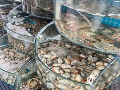 -仙螺岛海鲜自助餐厅(总店)