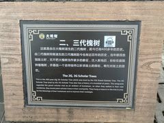 -大槐树寻根祭祖园