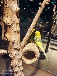 -酷嗒动物文化乐园(cutezoo西溪乐天城店)