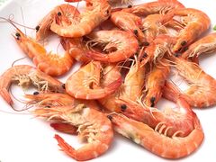 白灼基围虾-范饭椰林川湘味海鲜·椰子鸡(三亚湾椰梦长廊店)