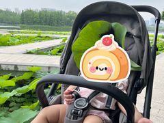 -嘉北郊野公园
