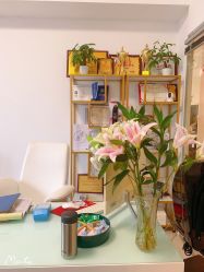 -芮娅时光半永久纹眉·美甲美睫·皮肤管理