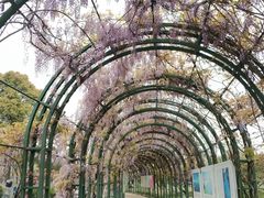 -杭州湾海上花田景区