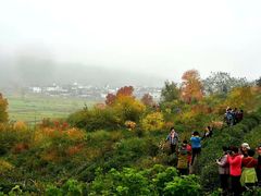 -塔川景区