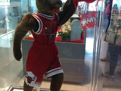 -济州岛泰迪熊博物馆