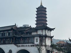 -长兴太湖图影湿地文化园