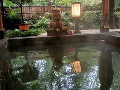 -西安国际创新人才交流中心•药浴温泉