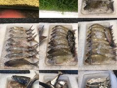 -Isla Sugbu Seafood City