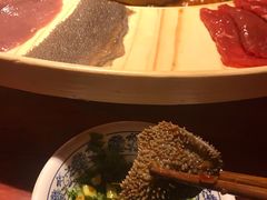 鲜毛肚-春熙里老火锅(春熙路店)