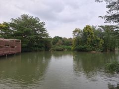 -海珠湖公园
