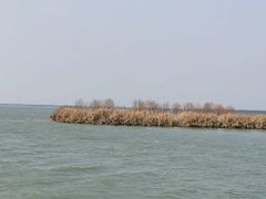 -漕湖湿地公园