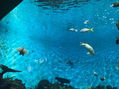 -鹿儿岛水族馆