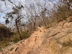 -灵岩山风景区