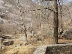 -灵溪风景区