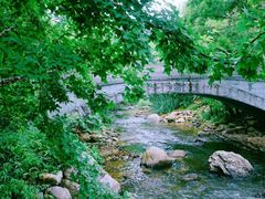 -广州市石门国家森林公园