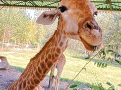 -秦皇岛野生动物园