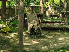 -上海野生动物园