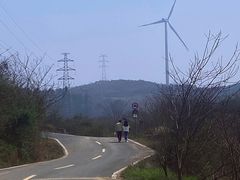 -合肥滨湖国家森林公园