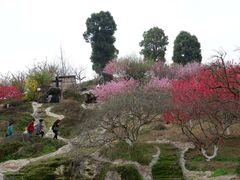-秀丽东方