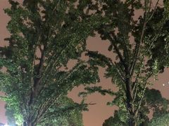-吴山路夜市