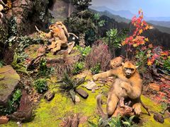 -陕西自然博物馆