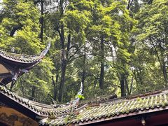 -青城山