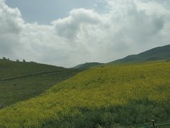 -张北坝上草原