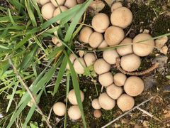 -迪庆藏族自治州博物馆