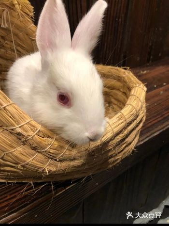 2020已经过去一半了，该带你的宝宝​出去转转啦